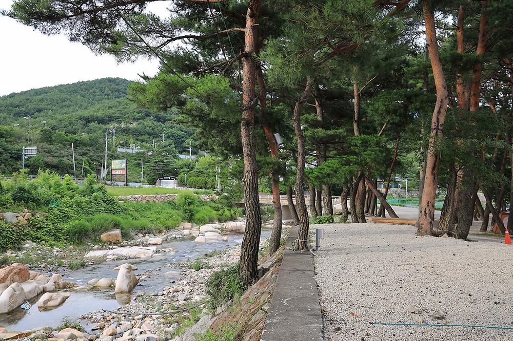 울산 힐링캠프