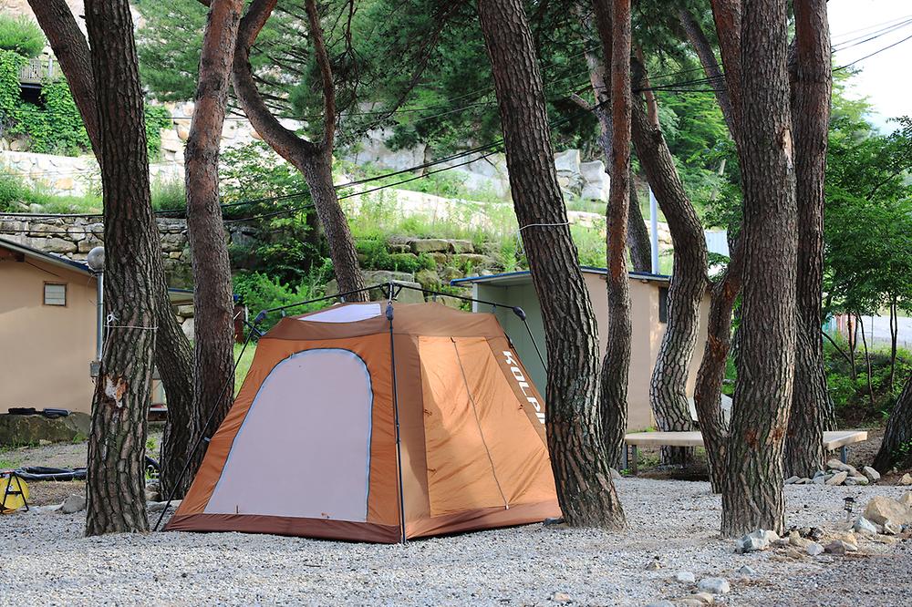 울산 힐링캠프