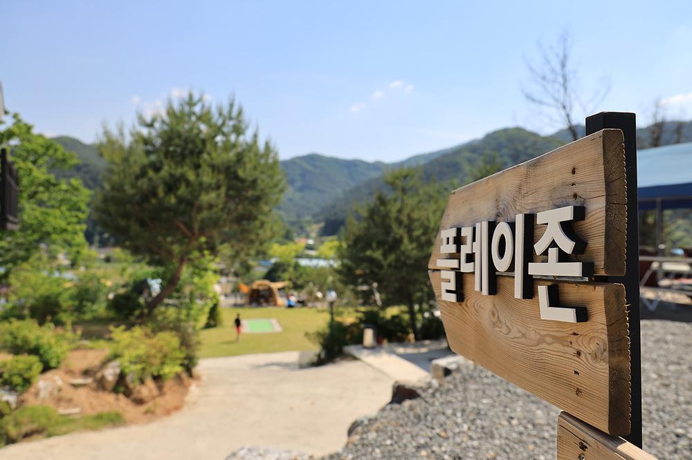 디데이펜션&캠핑