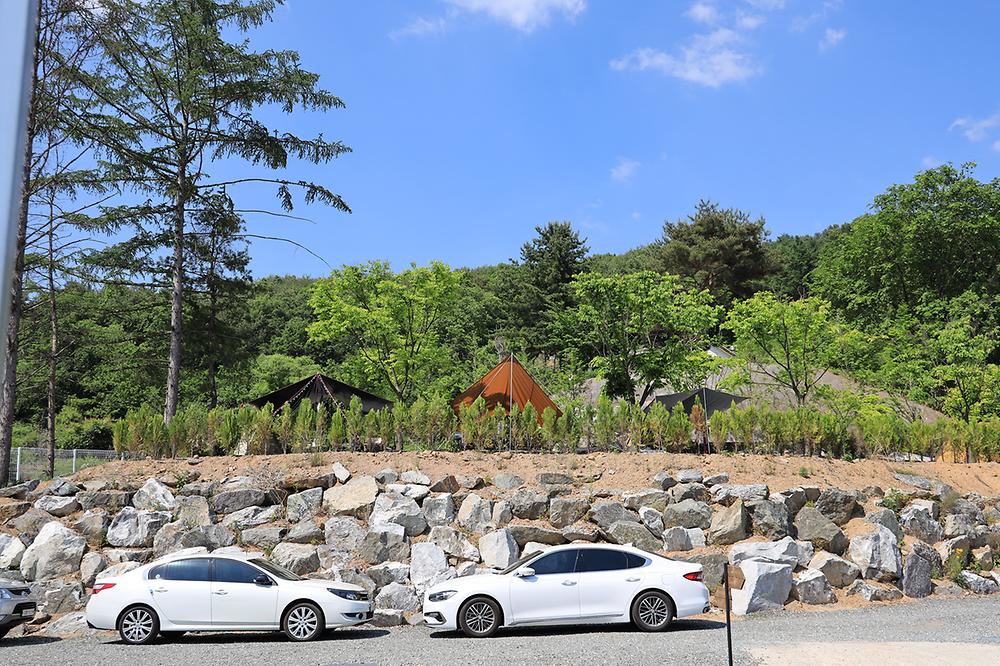 디데이펜션&캠핑