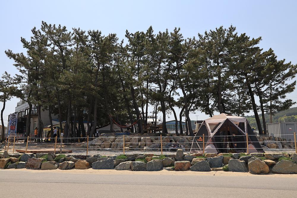 덕산해변 캠핑장