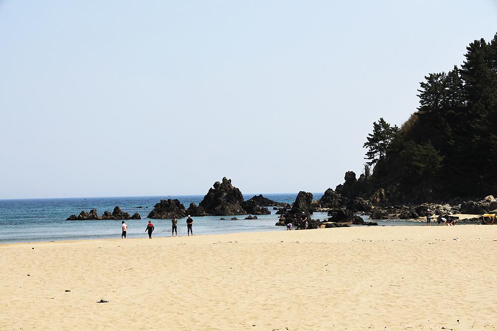 맹방 비치캠핑장