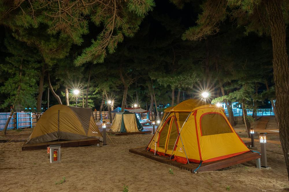 맹방 비치캠핑장