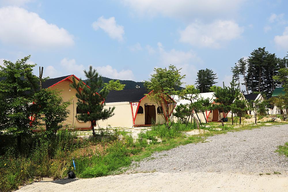 연지곤지팜캠핑장