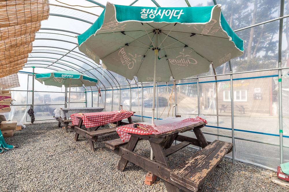 대천용두야영장