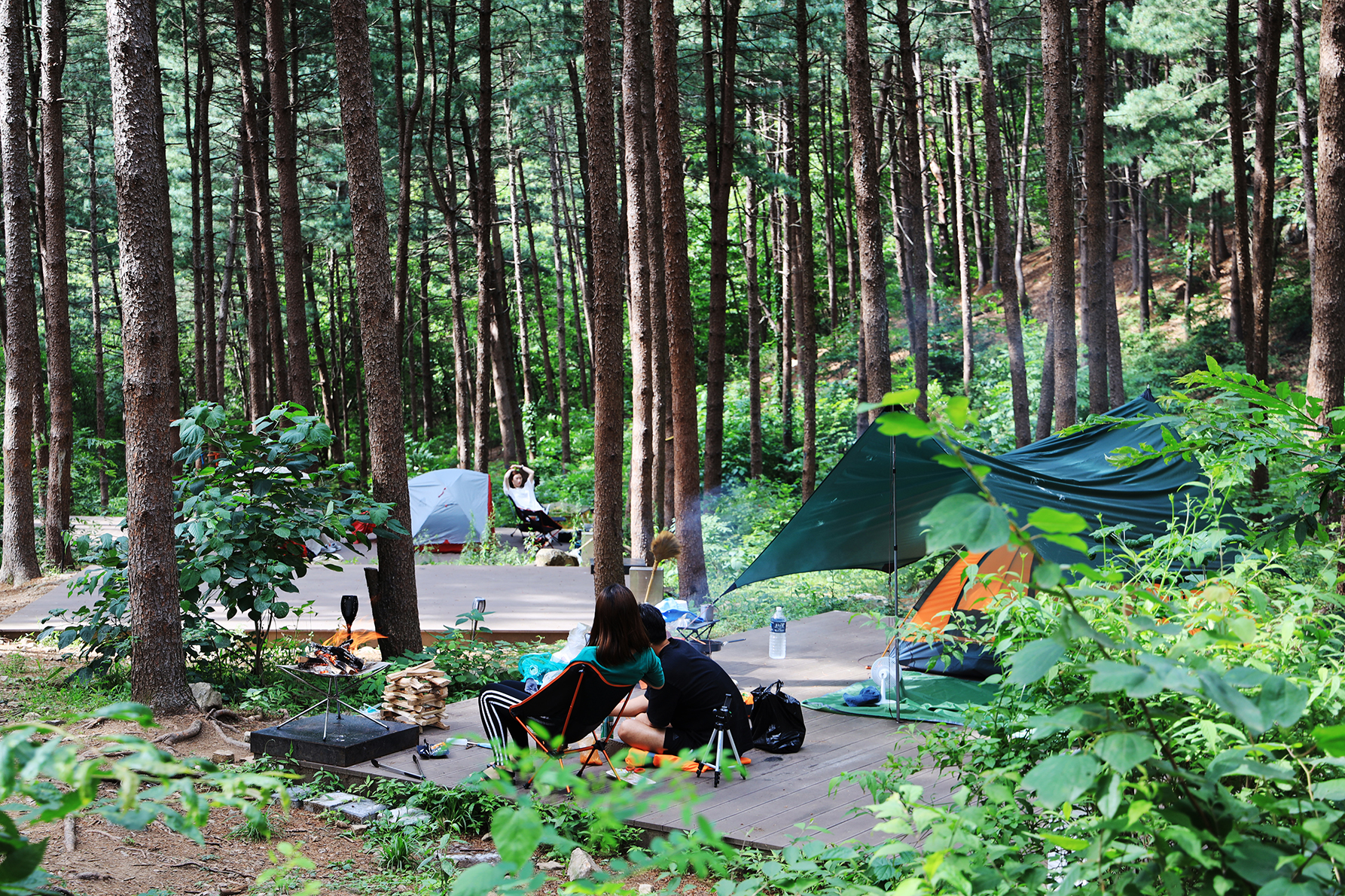 호명산잣나무숲속캠핑장