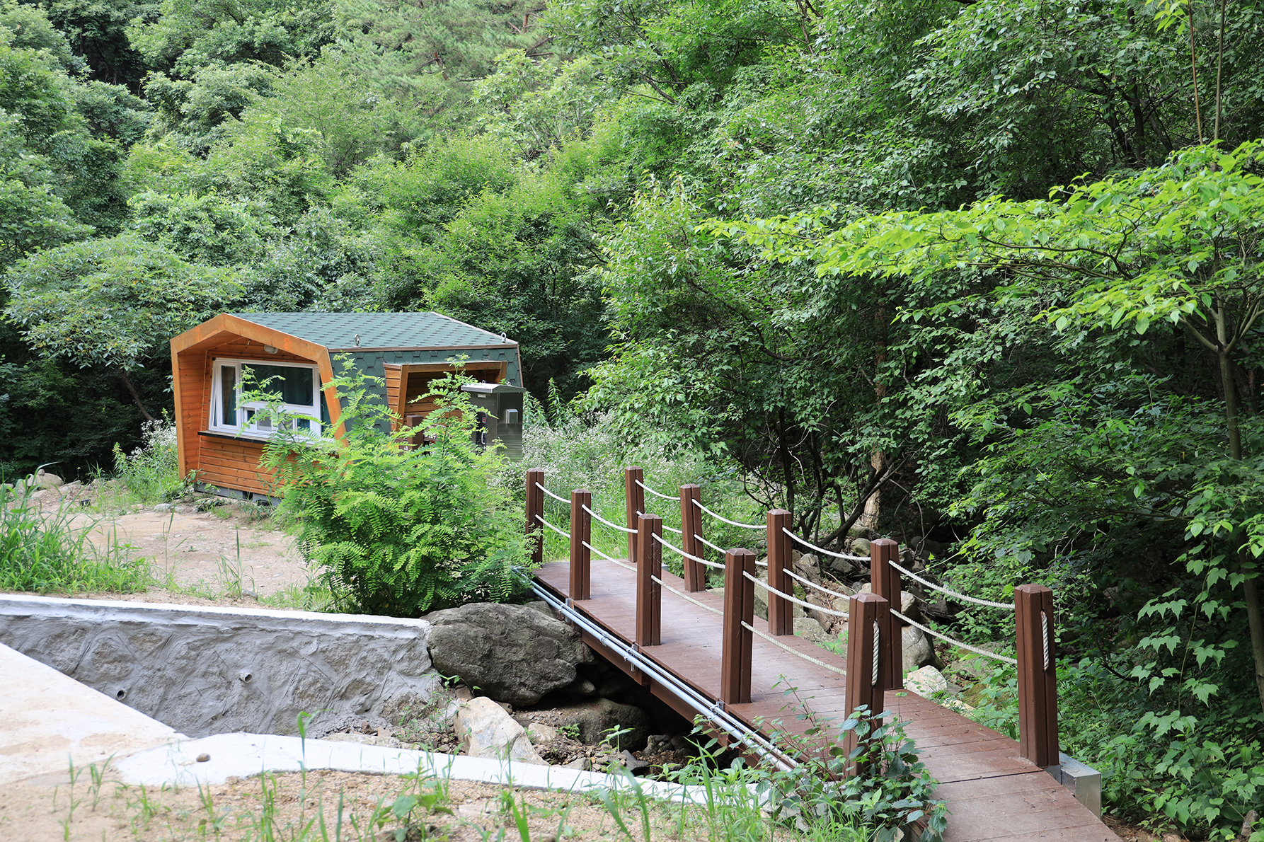 호명산잣나무숲속캠핑장