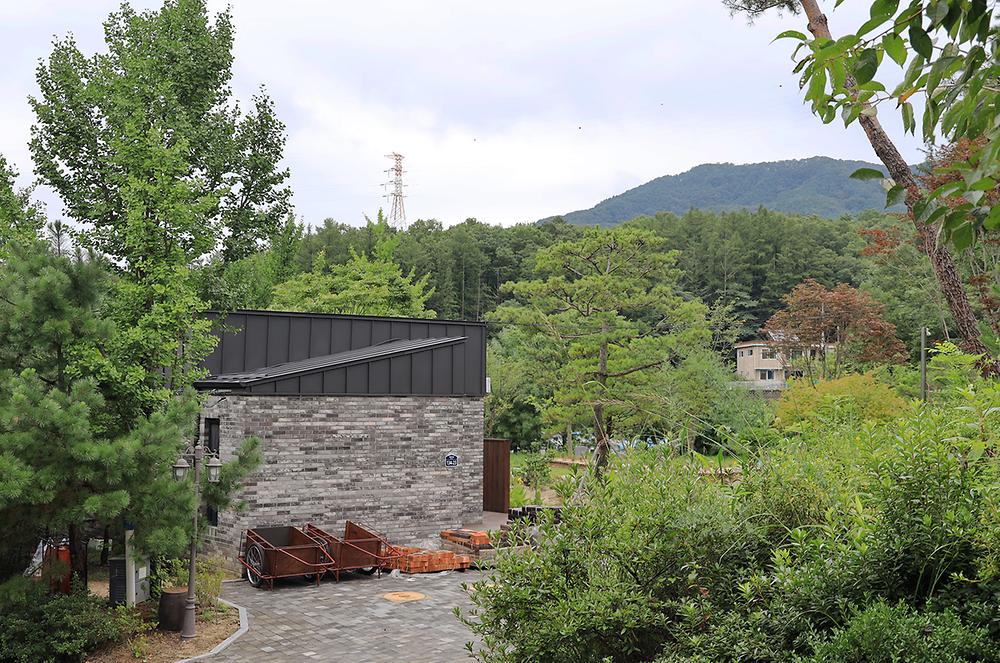 더 포레스트