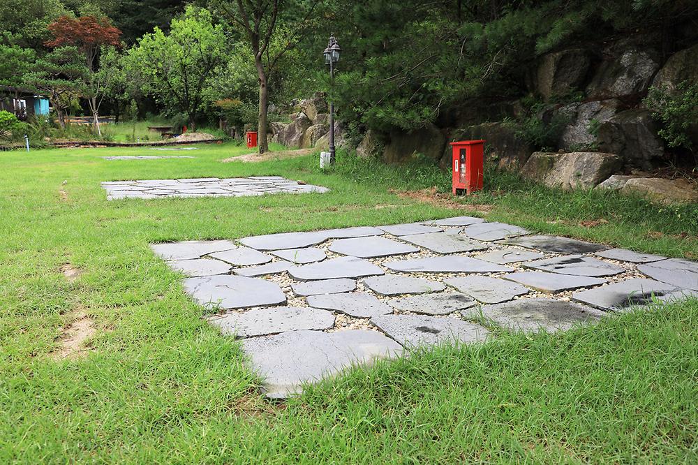 더 포레스트