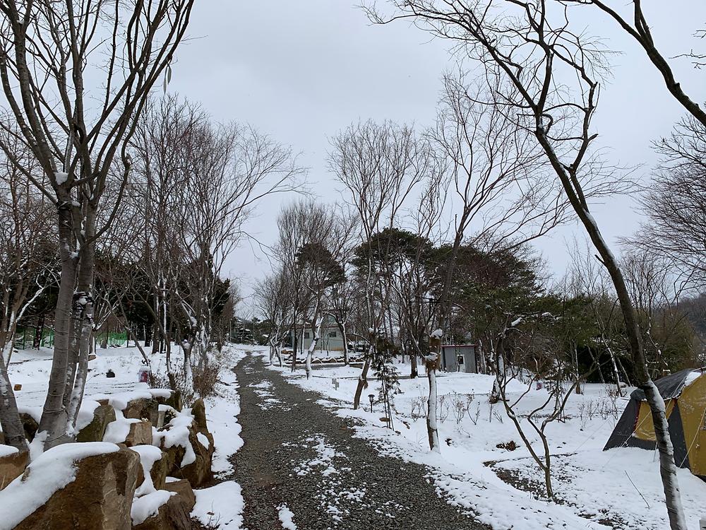 가야산 캠핑장