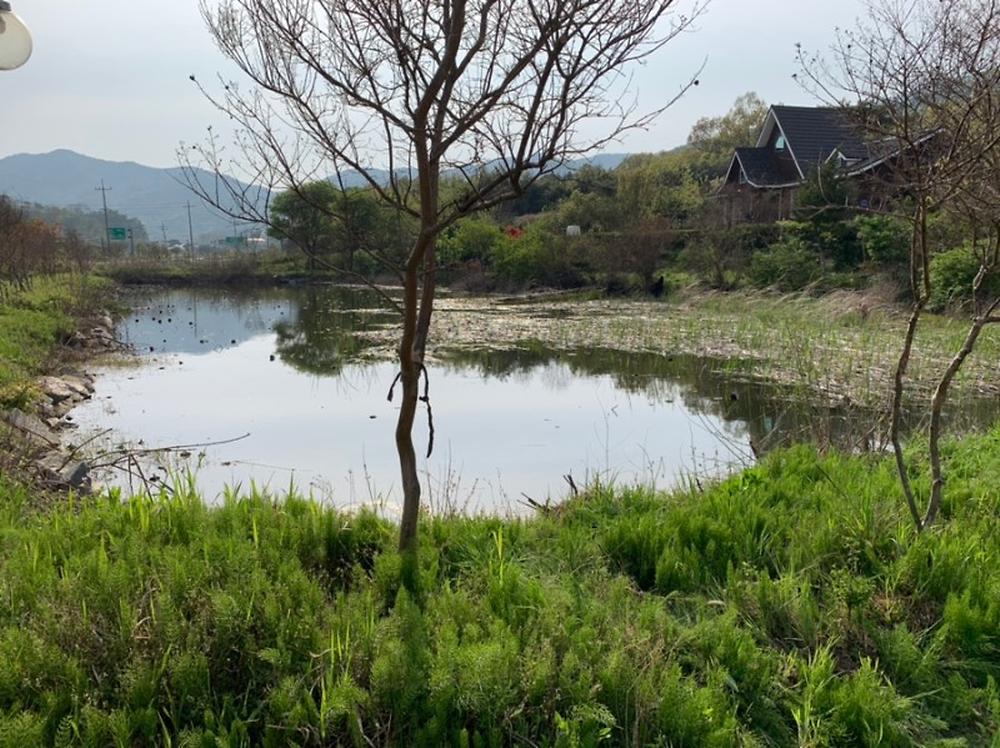 가야산 캠핑장