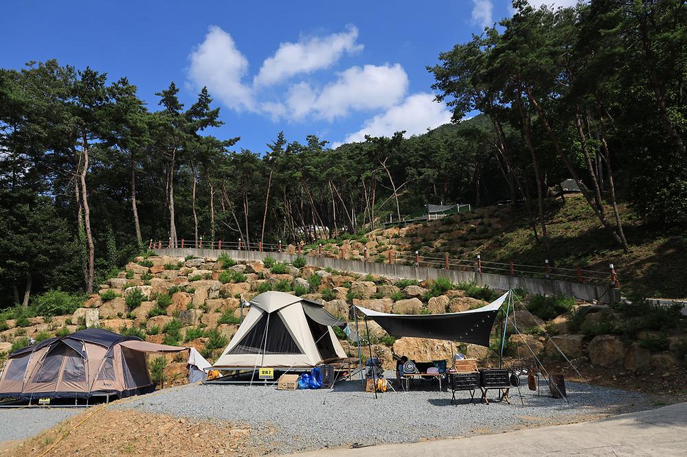 캠핑in곡성