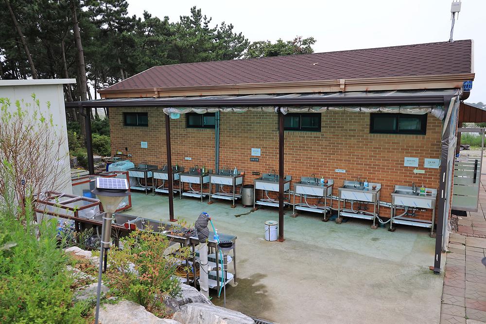 대부도 아라뜰 캠핑장