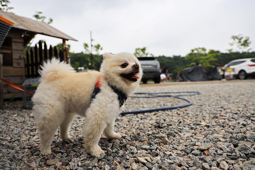 마실캠핑장