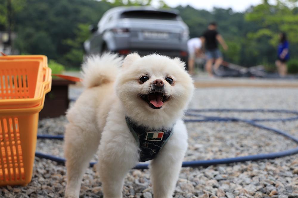 마실캠핑장