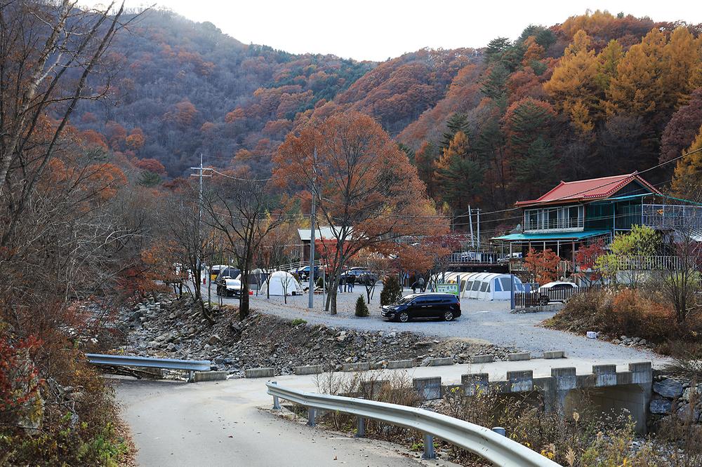 화기애애 단풍 캠핑장