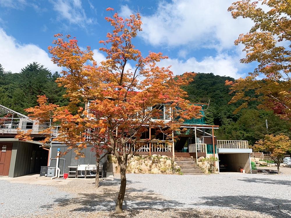 화기애애 단풍 캠핑장
