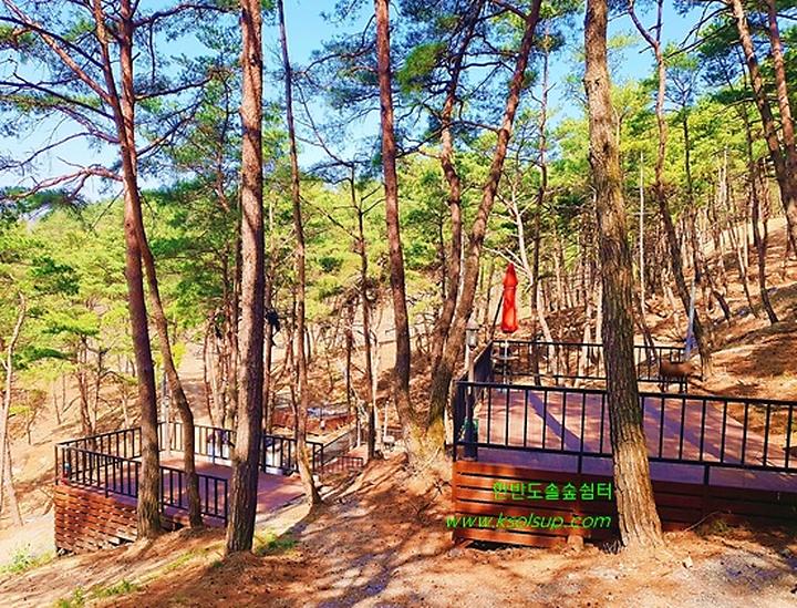 한반도 솔숲 쉼터