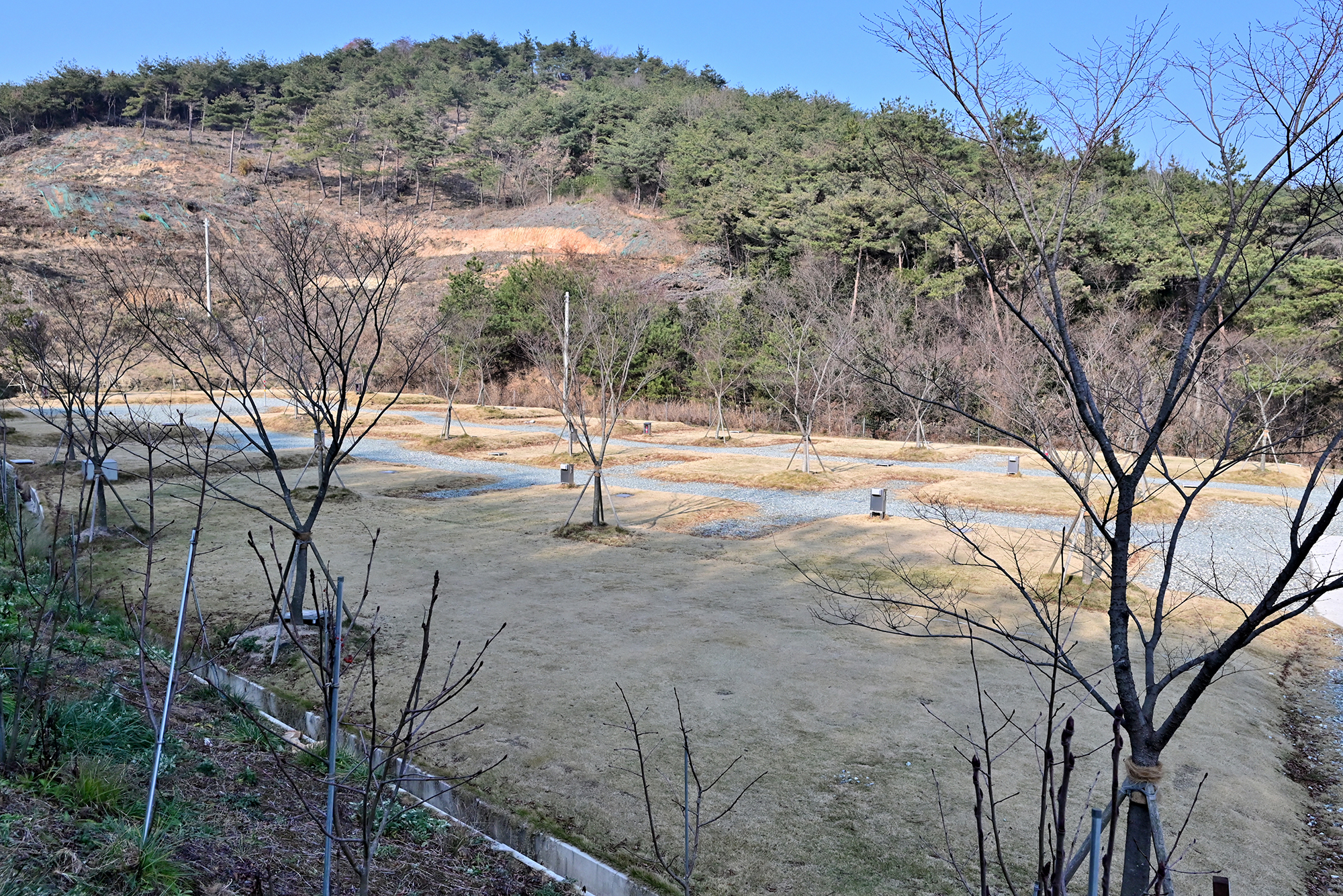 블루베리관광농원 베리굿 오토캠핑장