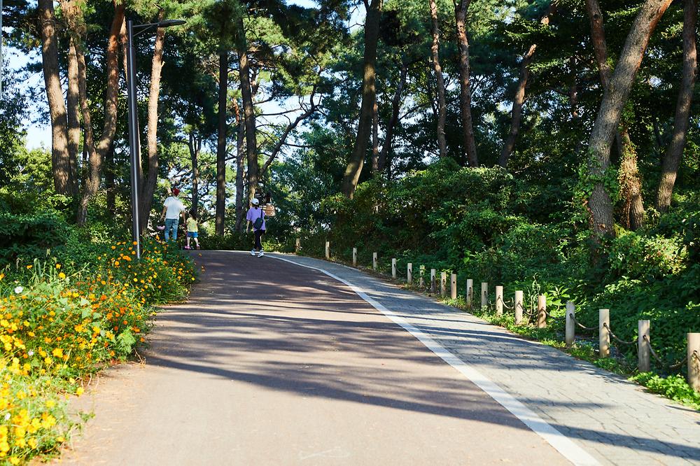 내리 캠핑장
