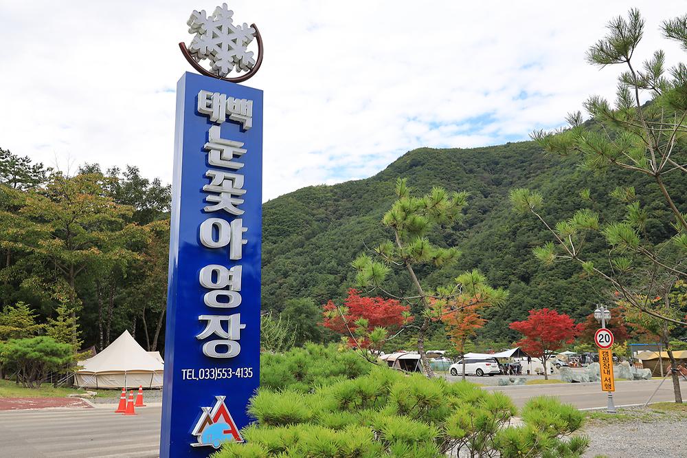 태백 눈꽃 야영장