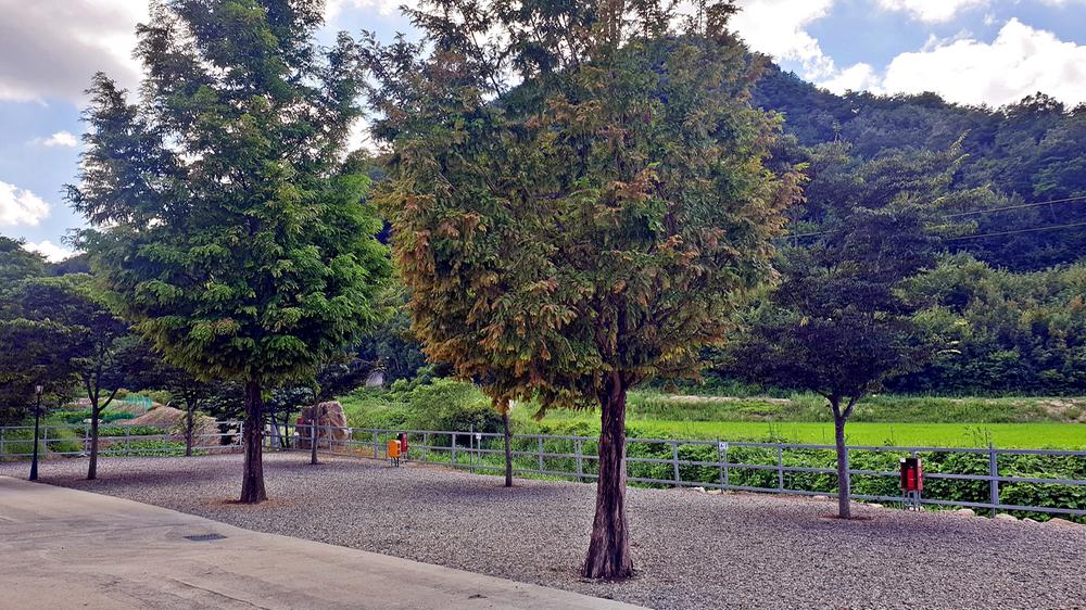 상주 가족캠핑장