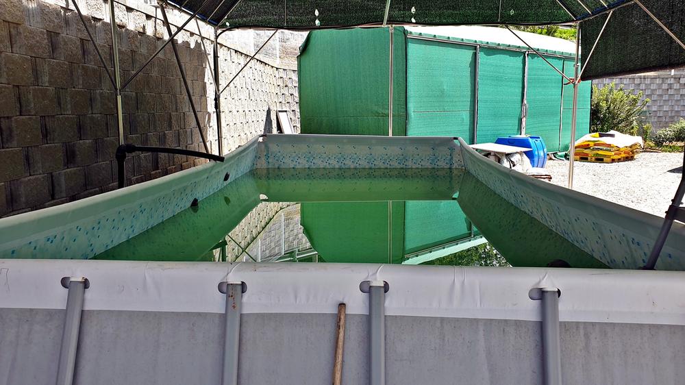 상주 가족캠핑장