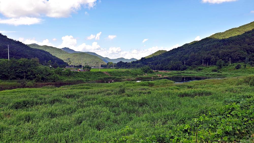 상주 가족캠핑장