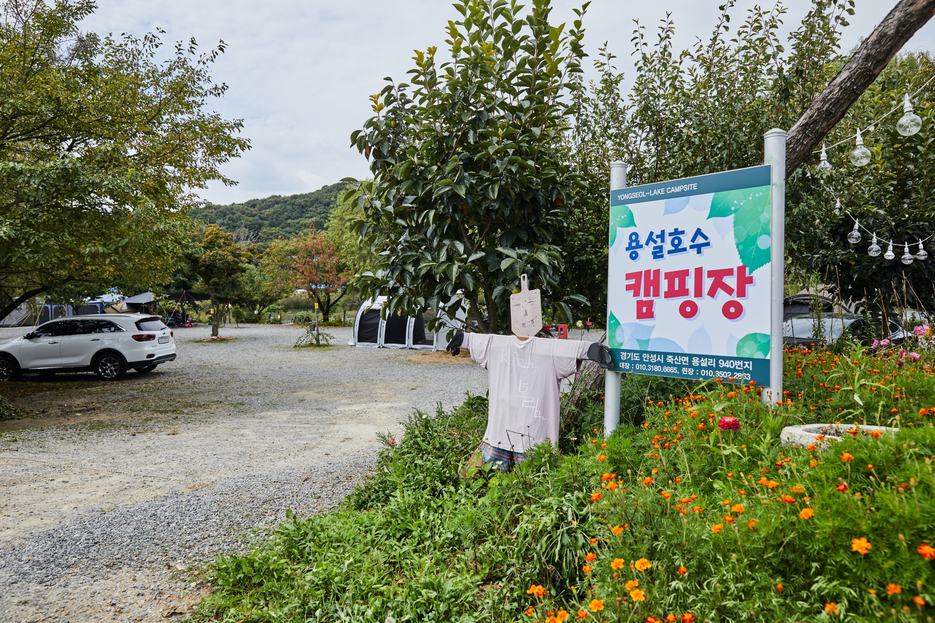 용설호수캠핑장