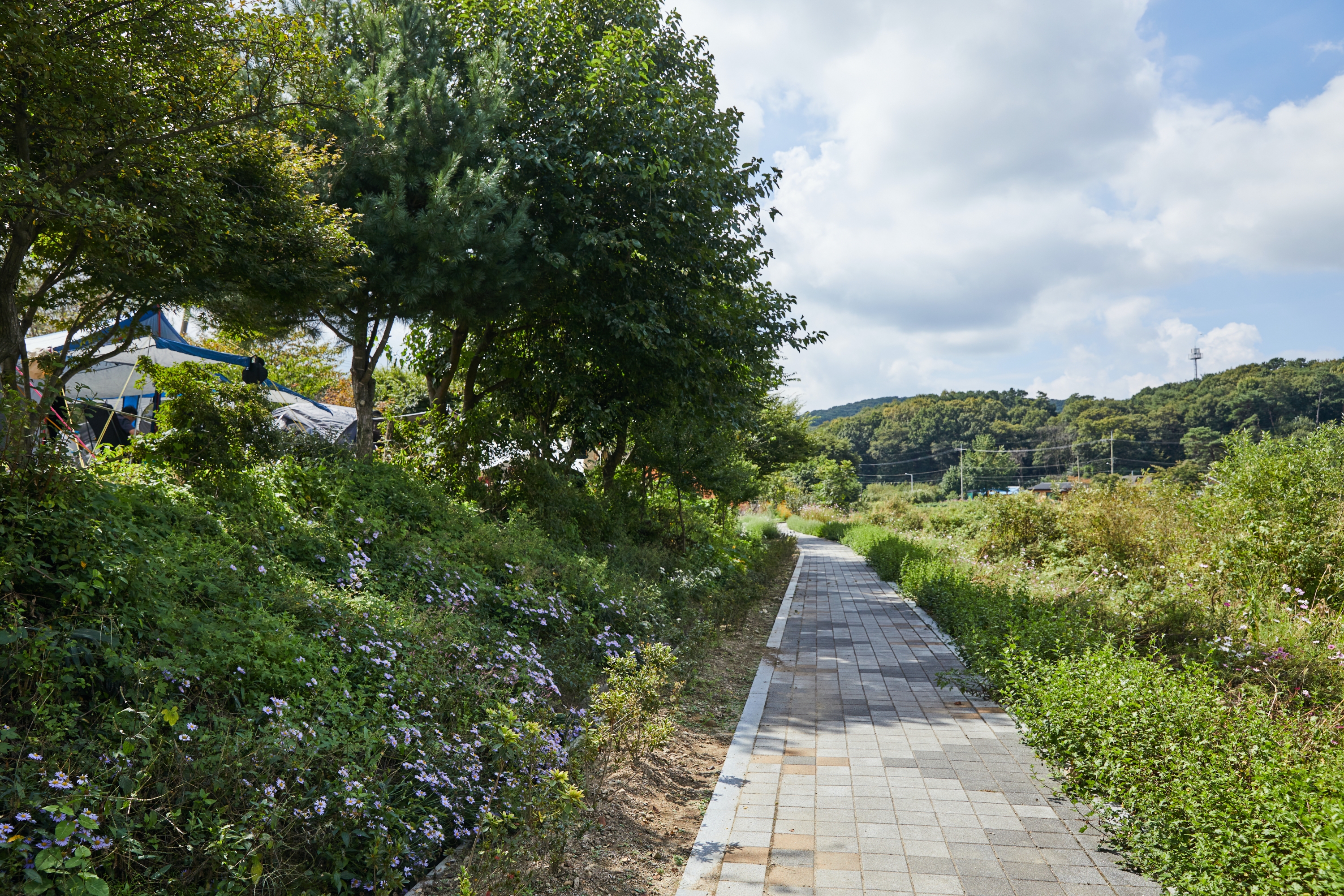 용설호수캠핑장