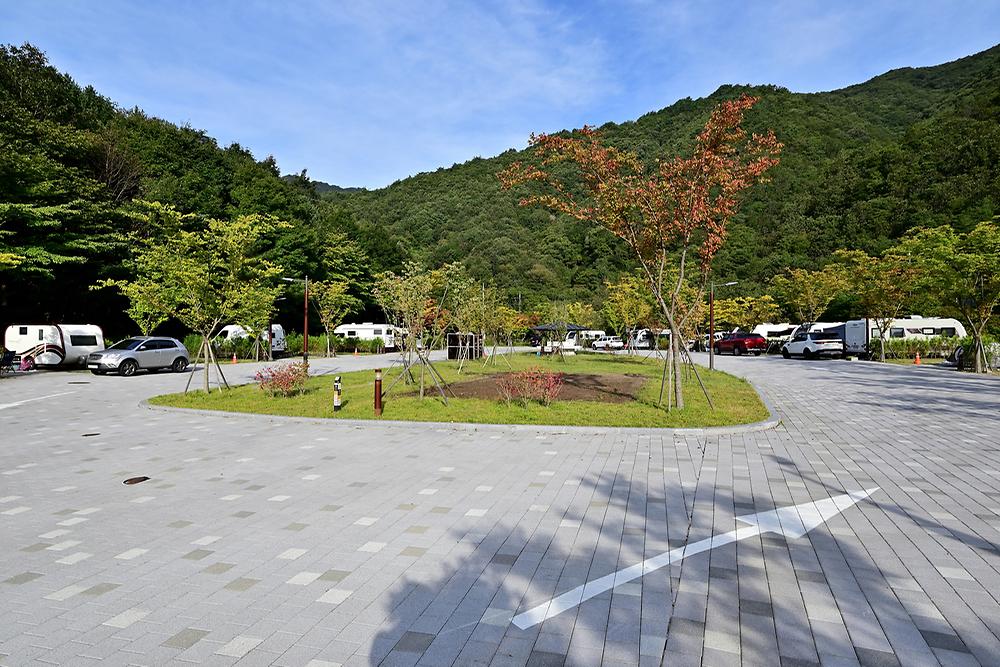 학천야영장