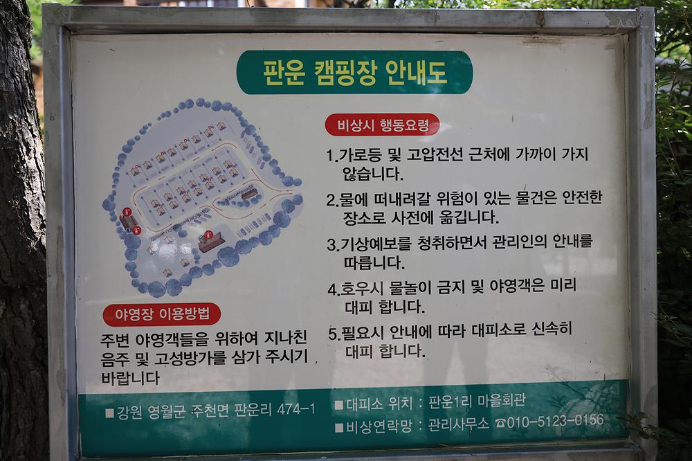 다 그린