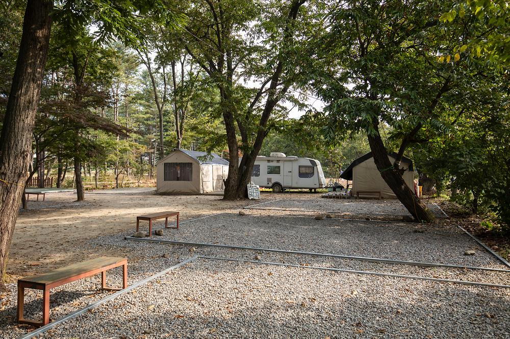 수동시온캠프