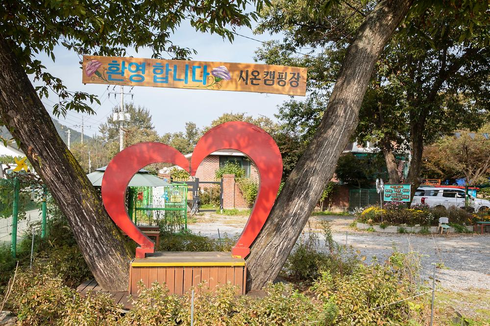 수동시온캠프