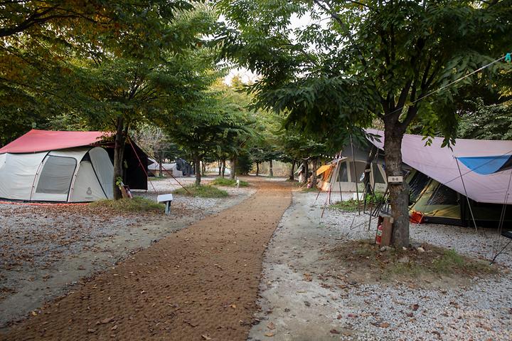 레이크문캠핑장