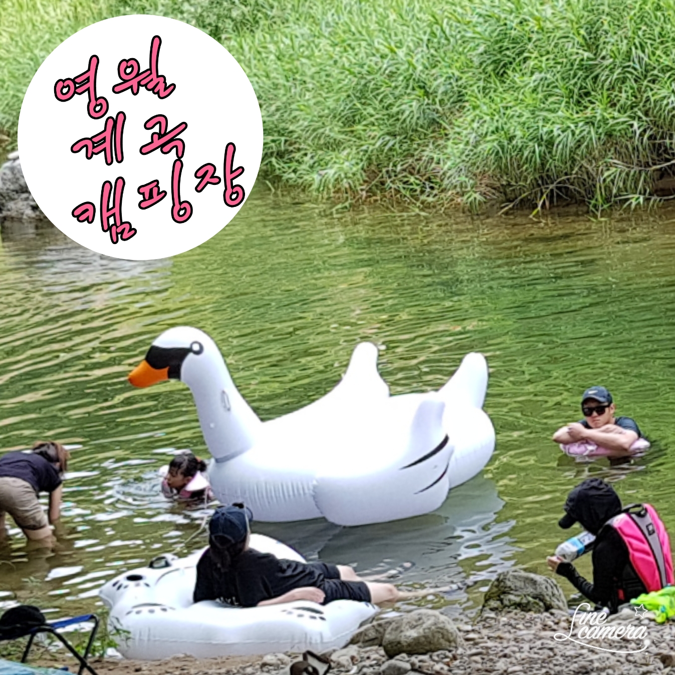 영월아트앤캠프장