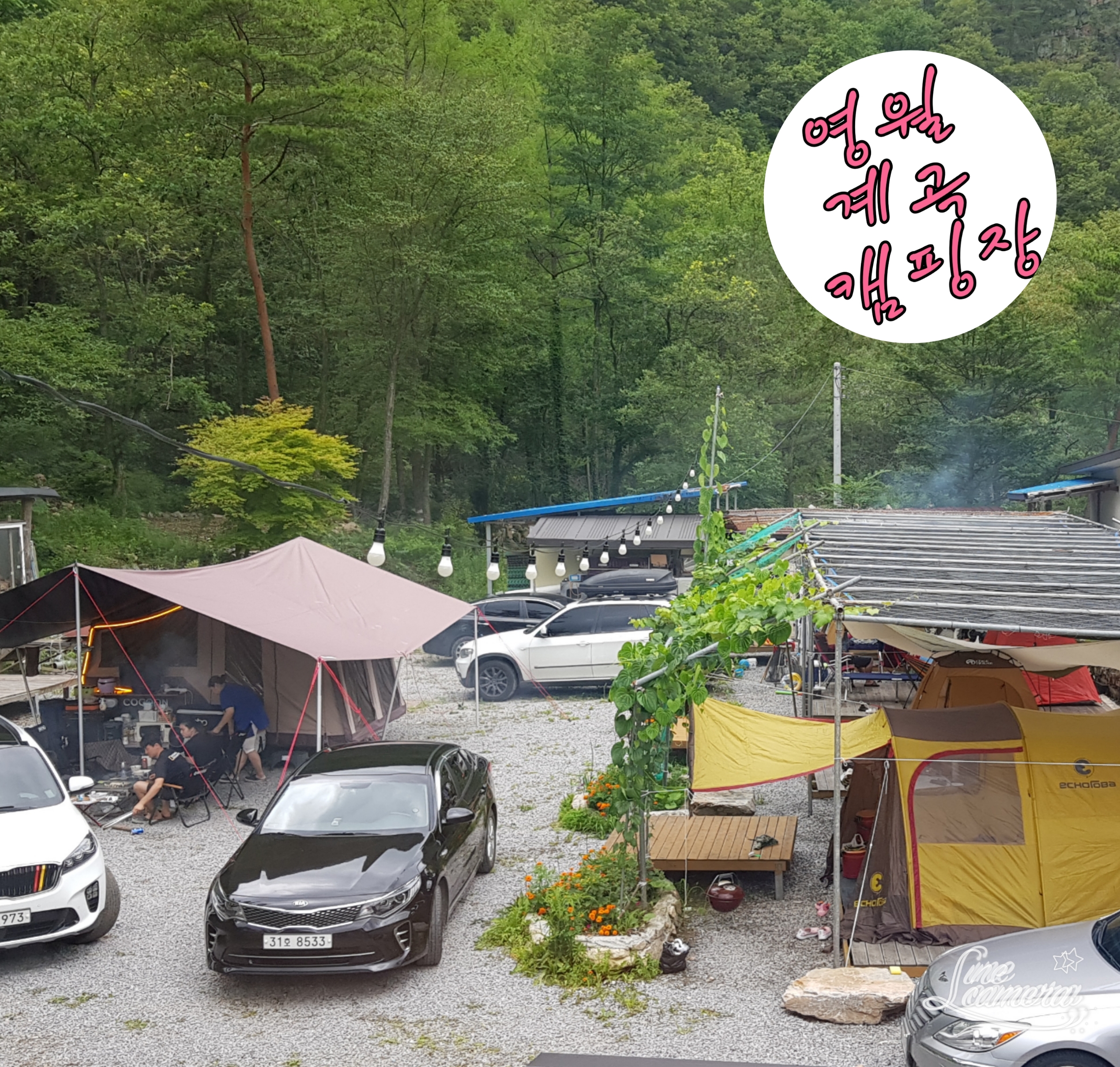 영월아트앤캠프장