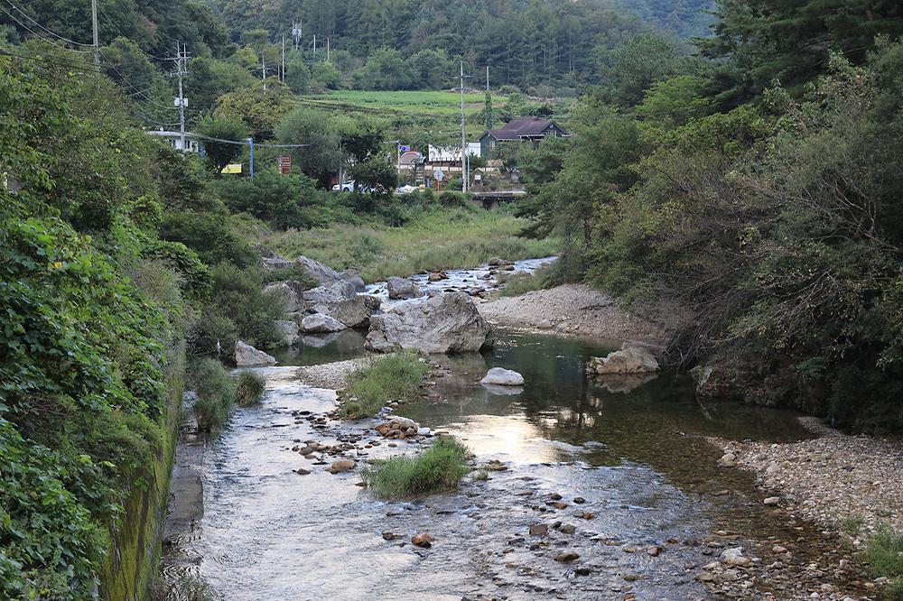 영월아트앤캠프장