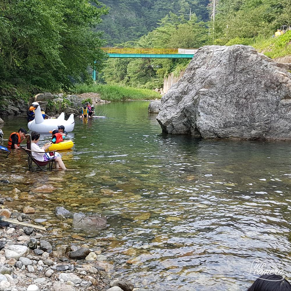 영월아트앤캠프장