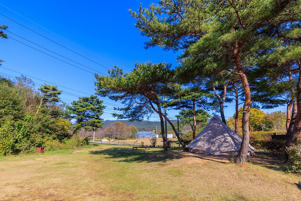 세울터 오토캠핑장 & 펜션
