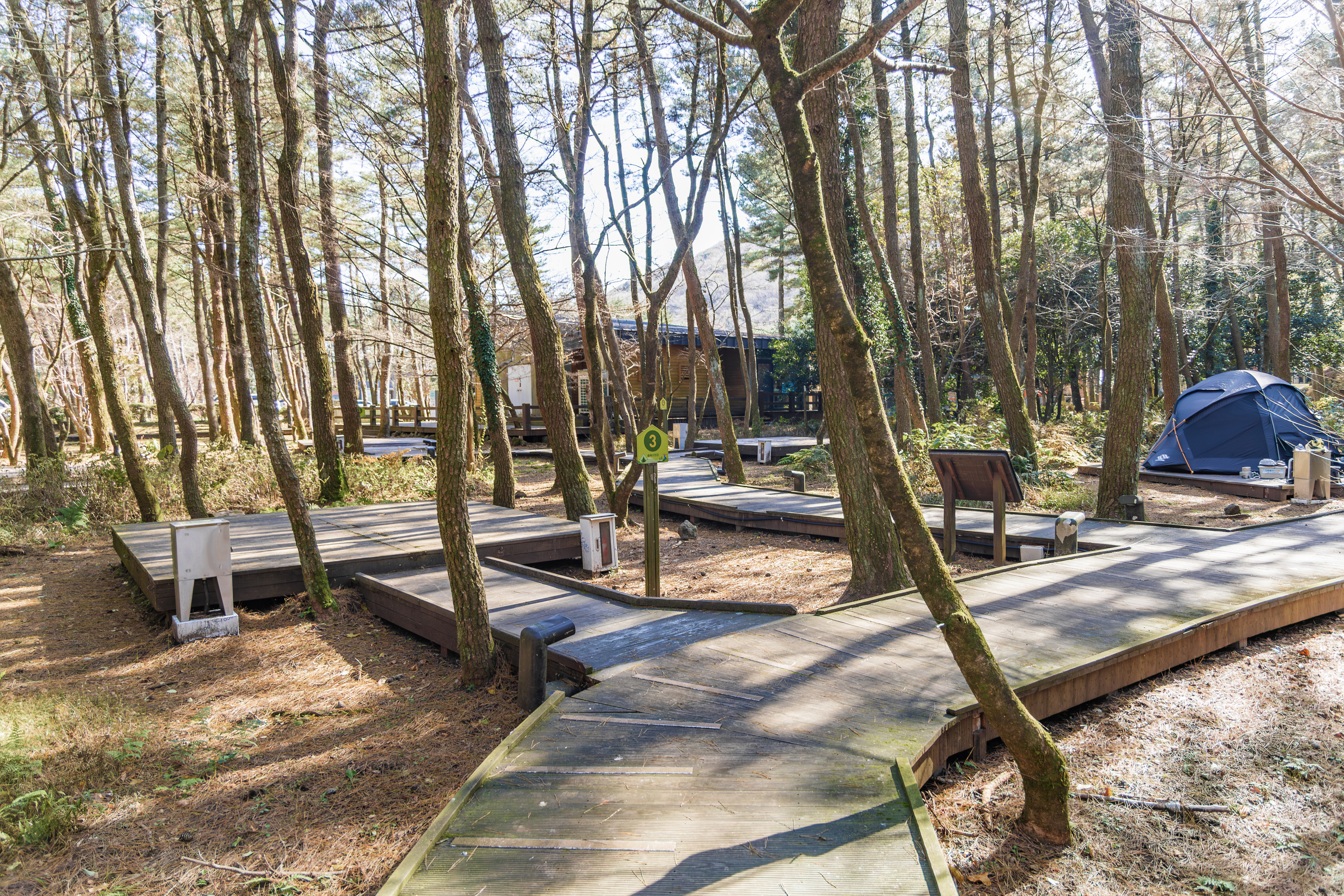 붉은오름 자연휴양림 숲속 야영장