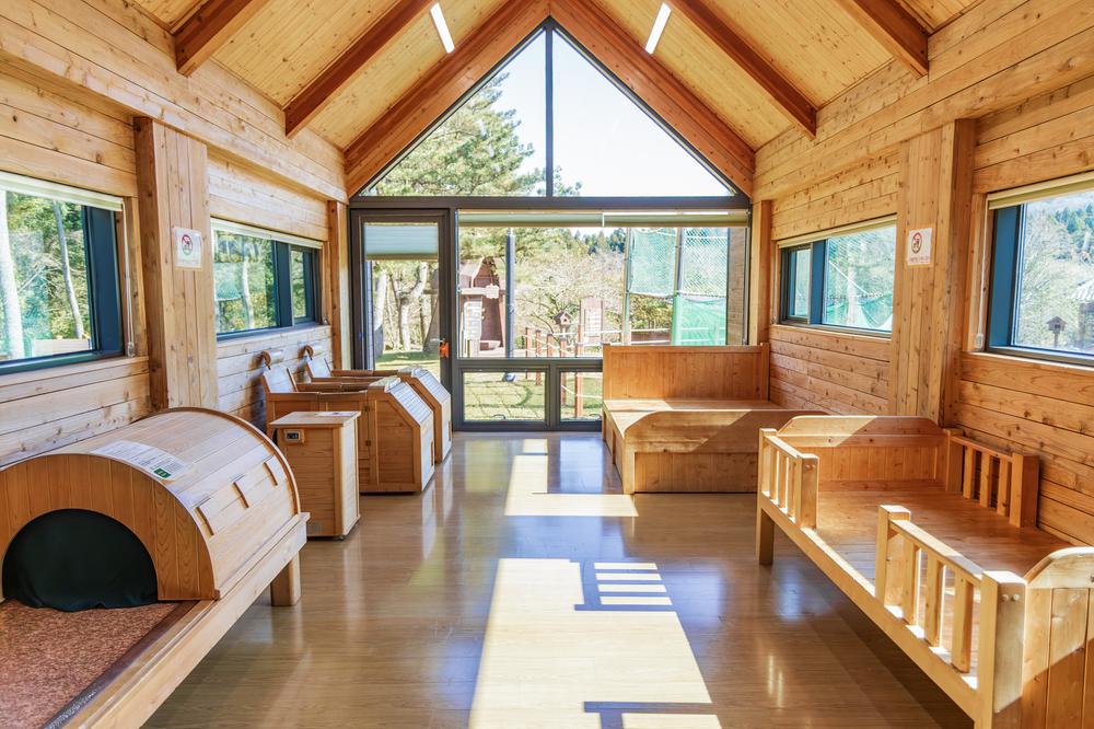 붉은오름 자연휴양림 숲속 야영장