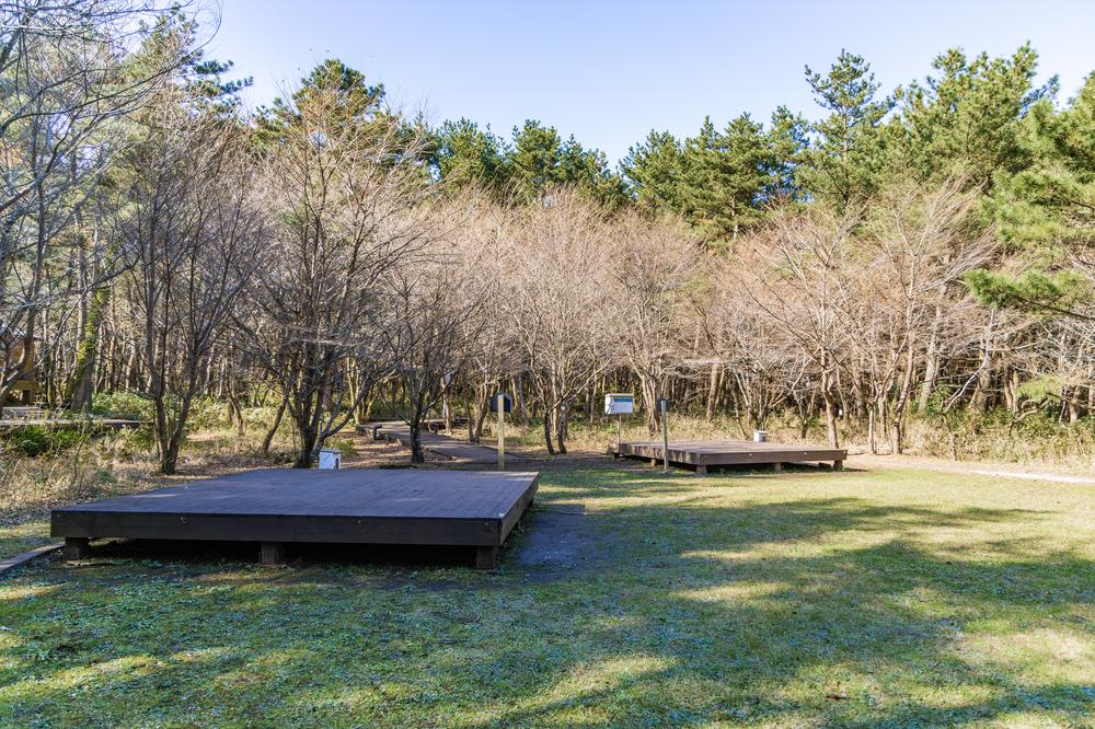 붉은오름 자연휴양림 숲속 야영장