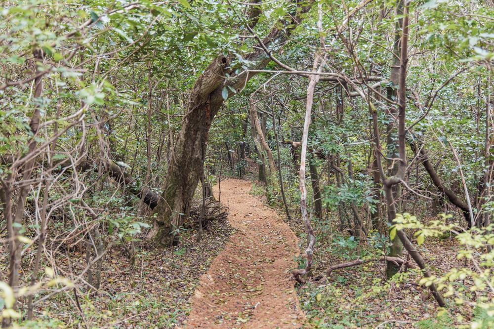붉은오름 자연휴양림 숲속 야영장