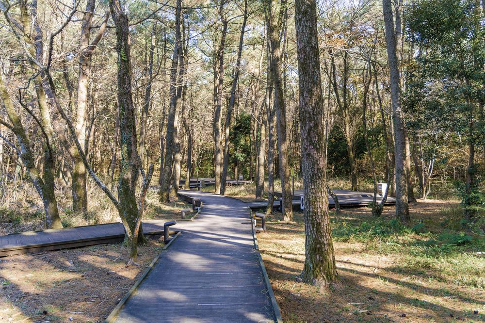 붉은오름 자연휴양림 숲속 야영장