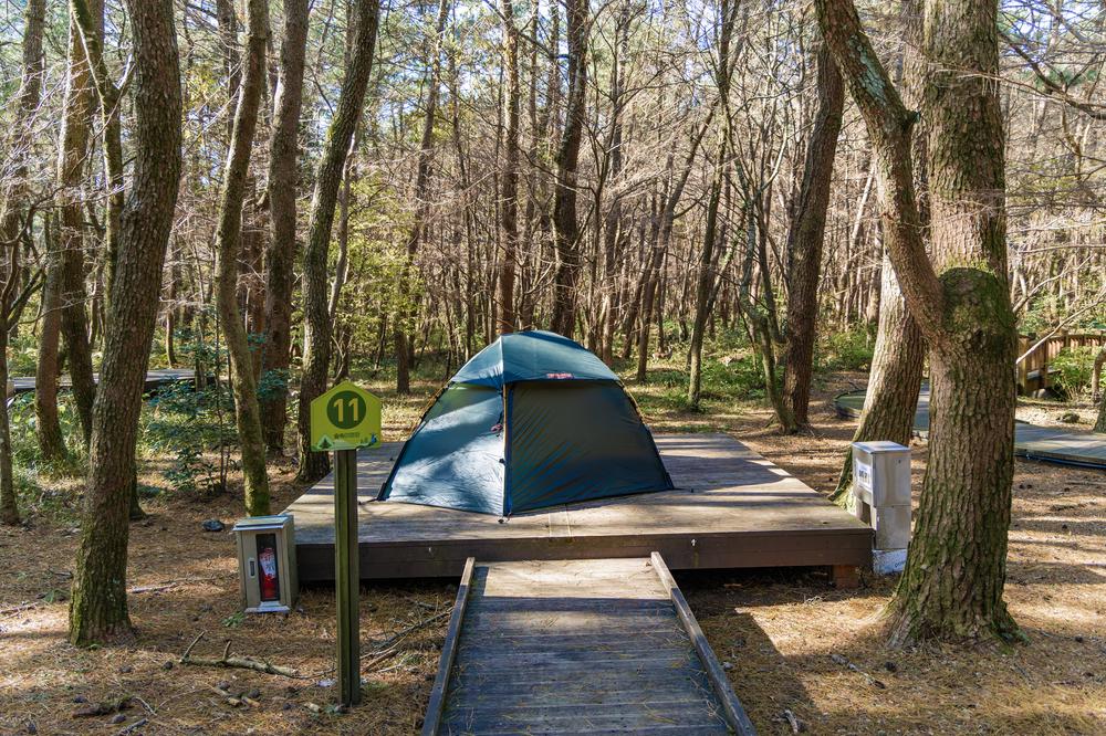 붉은오름 자연휴양림 숲속 야영장