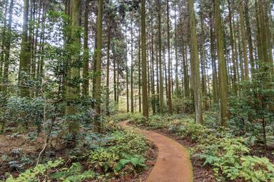 캠핑장소개 이미지