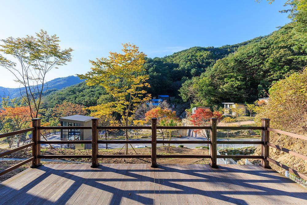 문수산 자연휴양림 야영장