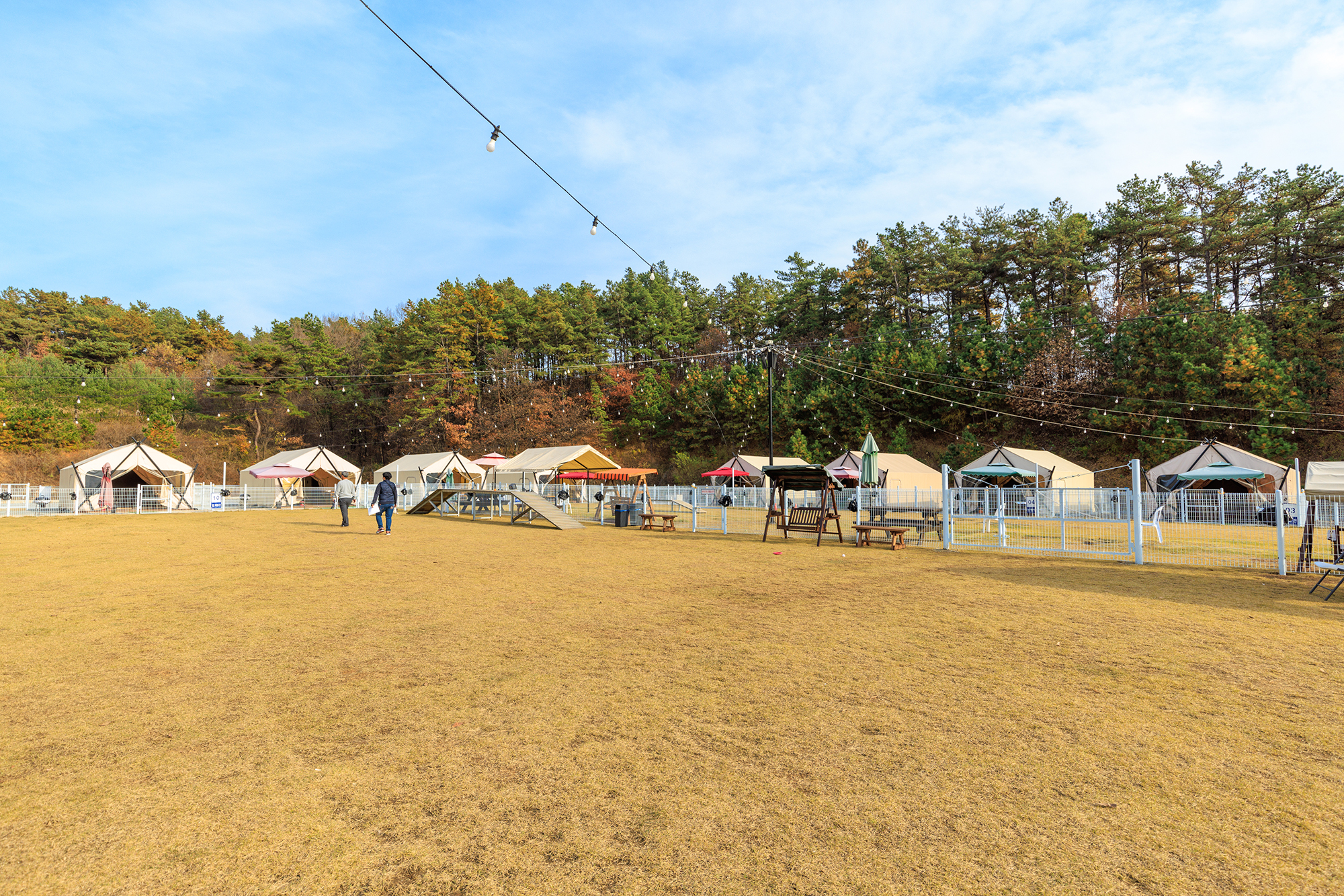 멍글멍글 펫 글램핑(주)