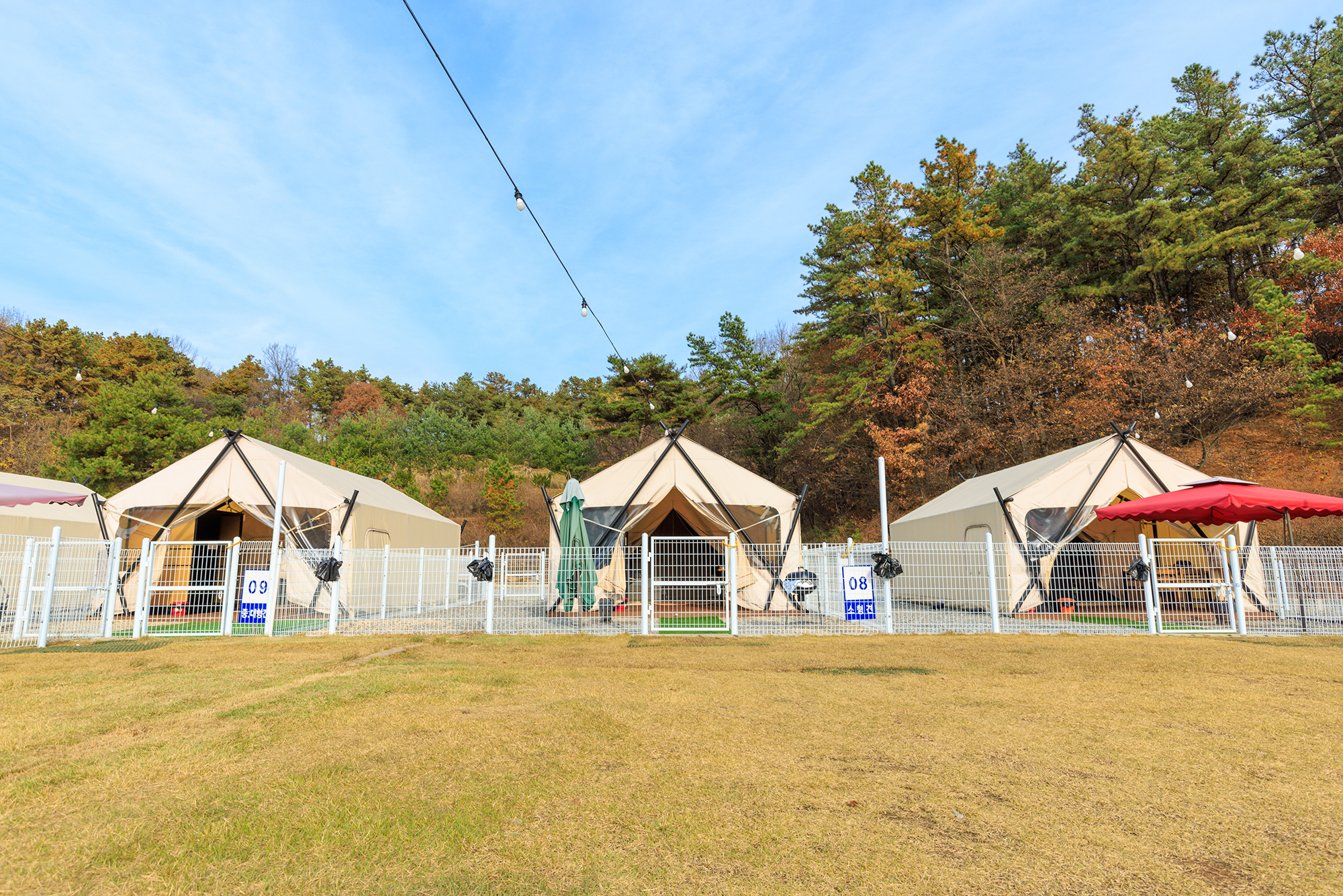 멍글멍글 펫 글램핑(주)